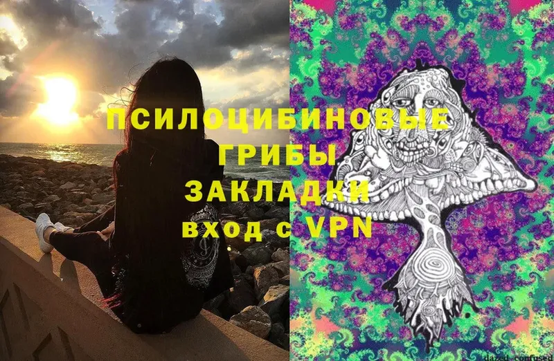 Галлюциногенные грибы Magic Shrooms  купить   Алупка 